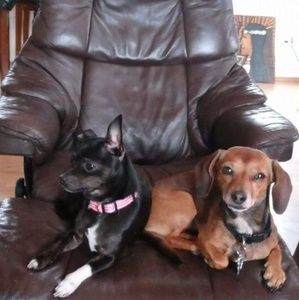 Meet your Posher, Gypsy